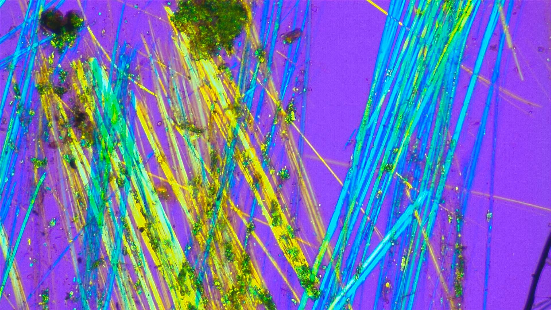 Observation MOLP d’une fibre suspecte d’amiante en laboratoire BJL